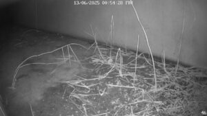 Thumbnail for PH61P3522WQD3HN1