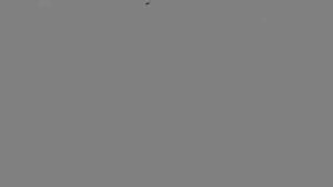 Thumbnail for X36X9JSP3638FGWT