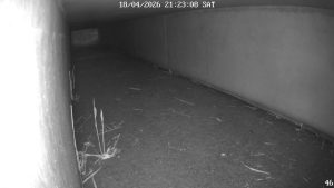 Thumbnail for RAK98CS2ST1SB7B0