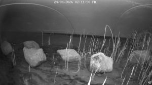 24 april 2026 om 00:11