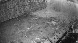 Thumbnail for H7QWJ1YT0XE6ADV5